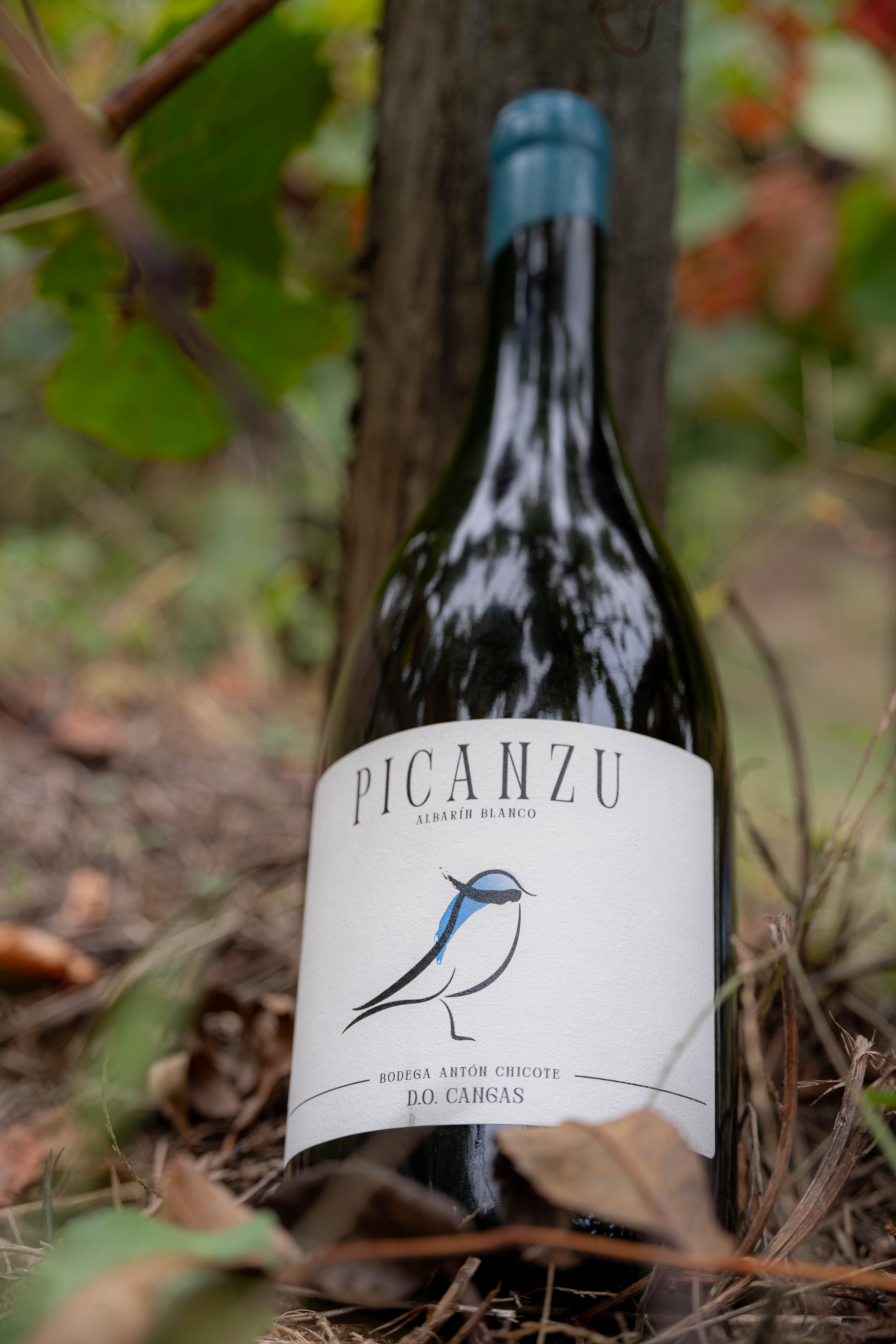 Botella de Picanzu entre las cepas del viñedo