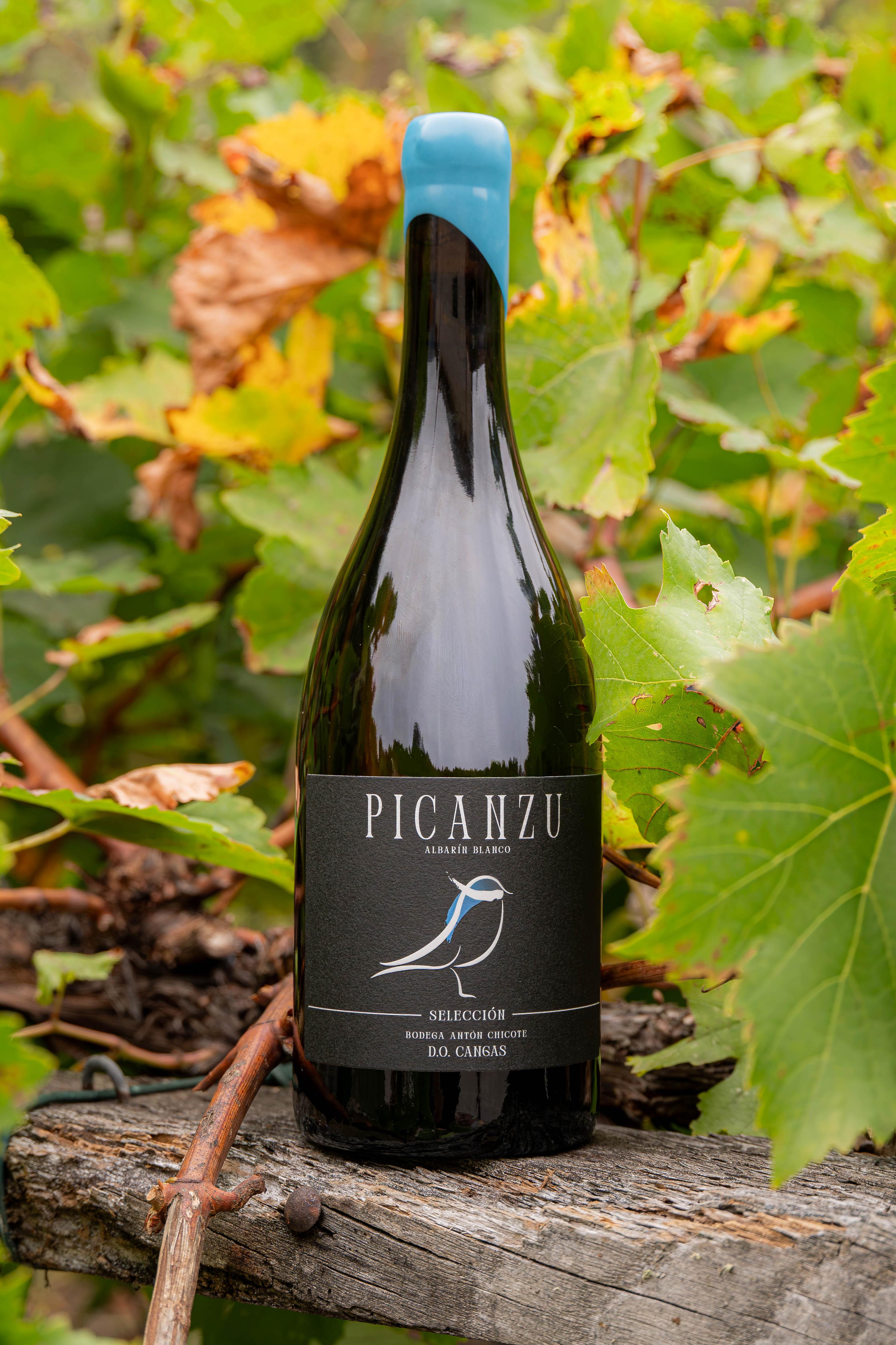 Botella de Picanzu Selección entre hojas de vid otoñales