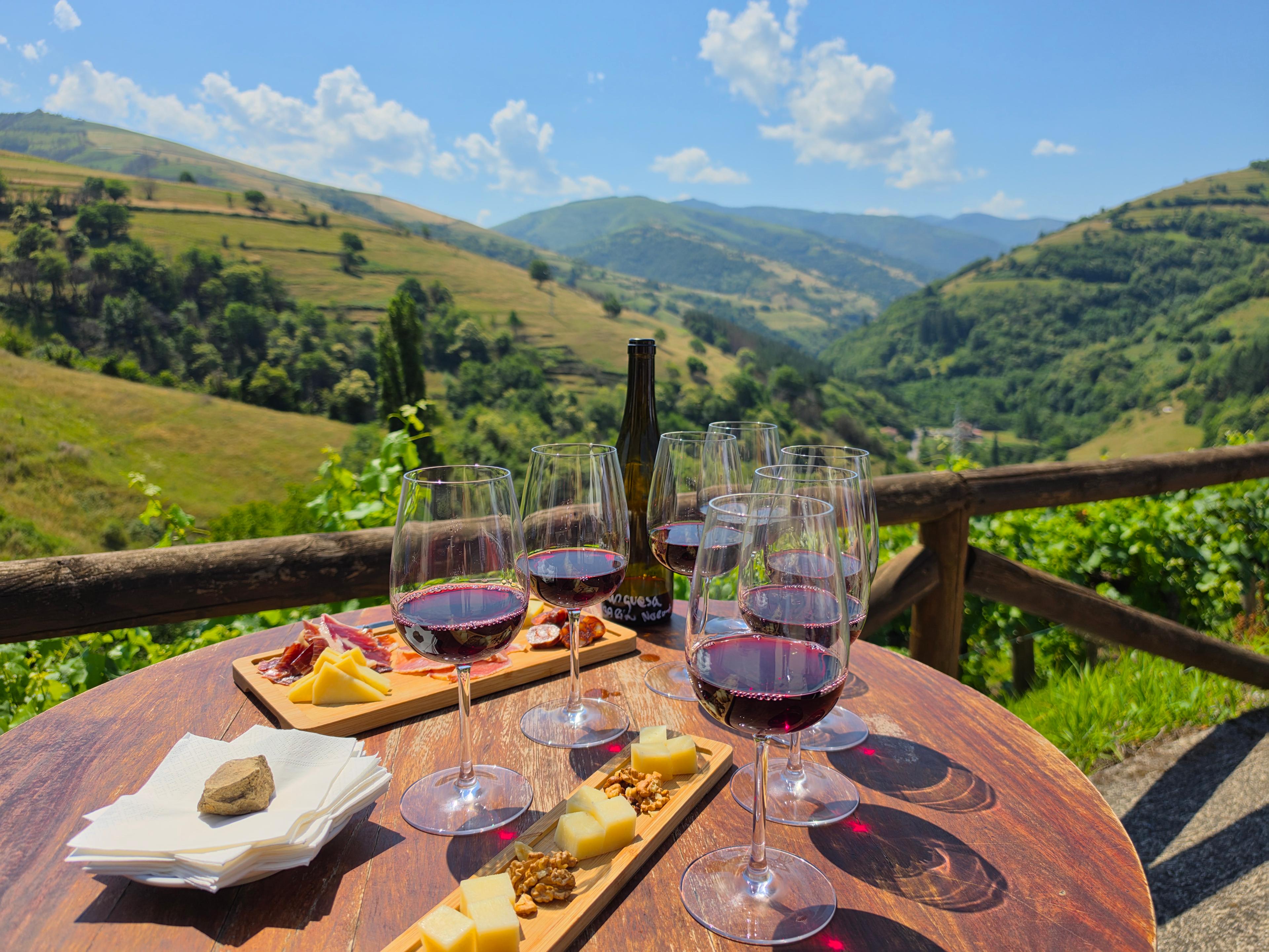 Cata de vinos con vistas al valle en Bodega Antón Chicote